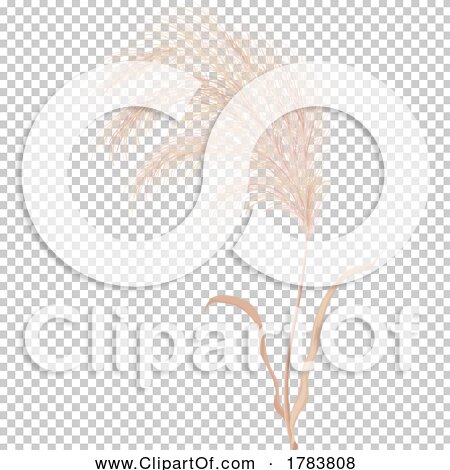 Transparent clip art background preview #COLLC1783808