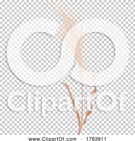 Transparent clip art background preview #COLLC1783811