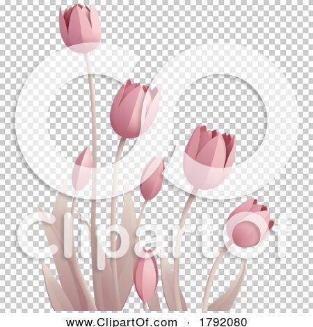 Transparent clip art background preview #COLLC1792080