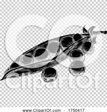 Transparent clip art background preview #COLLC1750417