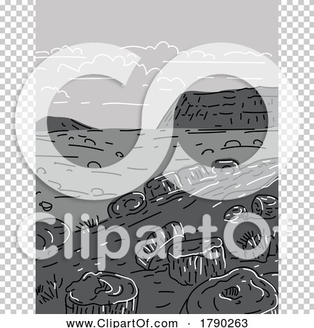 Transparent clip art background preview #COLLC1790263