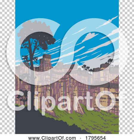 Transparent clip art background preview #COLLC1795654