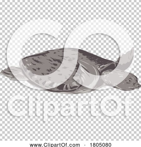 Transparent clip art background preview #COLLC1805080