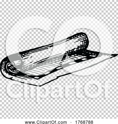 Transparent clip art background preview #COLLC1768788