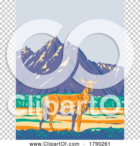 Transparent clip art background preview #COLLC1790261