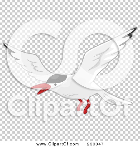 Transparent clip art background preview #COLLC230047