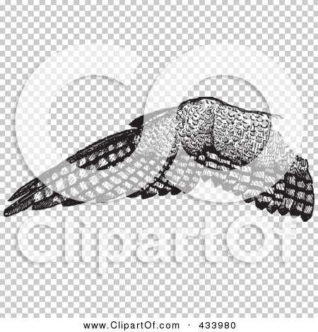 Transparent clip art background preview #COLLC433980