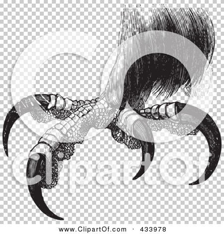 Transparent clip art background preview #COLLC433978