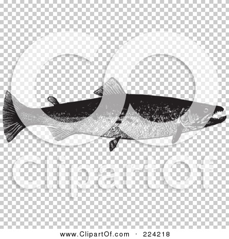 Transparent clip art background preview #COLLC224218