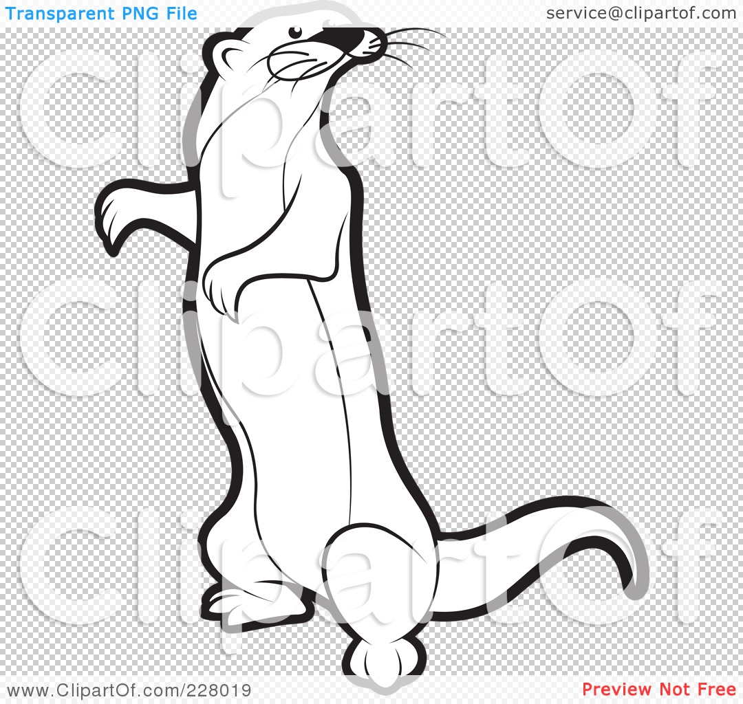 Download Royalty-Free (RF) Clipart Illustration of a Coloring Page Outline Of A Standing Mongoose by Lal ...