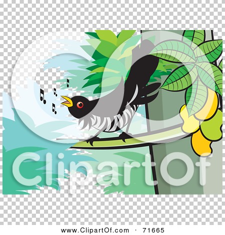 Royalty-Free (RF) Cuckoo Bird Clipart, Illustrations, Vector Graphics #1