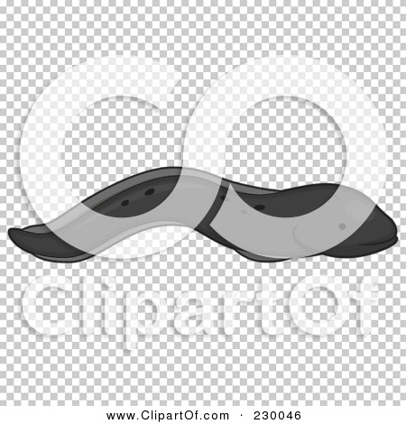 Transparent clip art background preview #COLLC230046