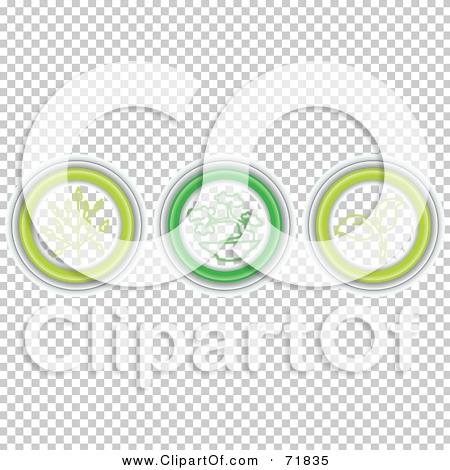 Transparent clip art background preview #COLLC71835