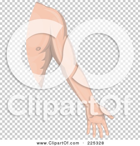 Transparent clip art background preview #COLLC225328