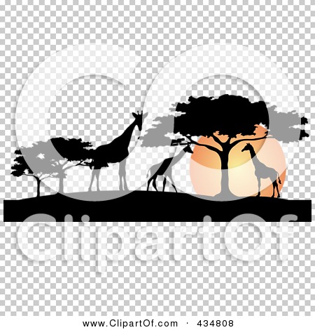 Transparent clip art background preview #COLLC434808