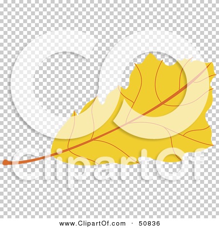 Transparent clip art background preview #COLLC50836