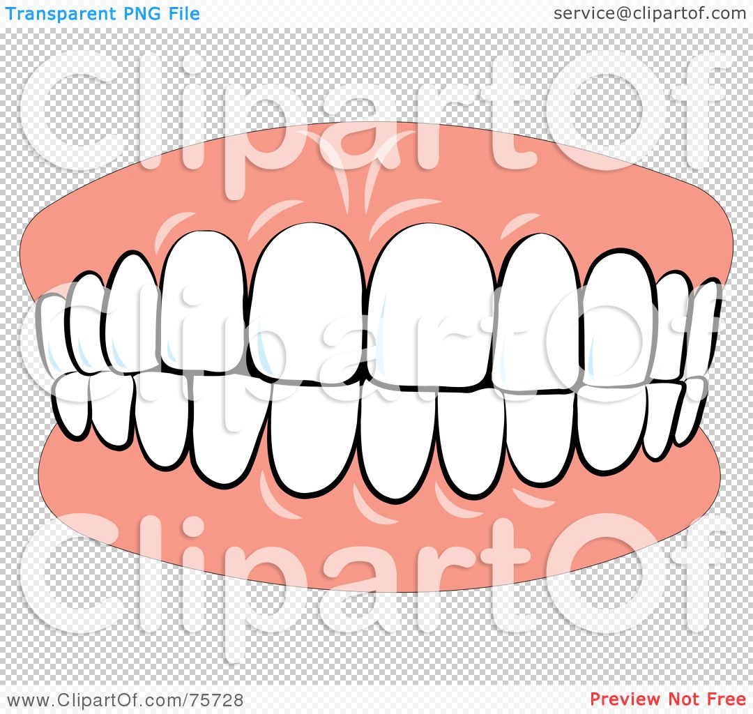 tooth clipart no background - photo #25