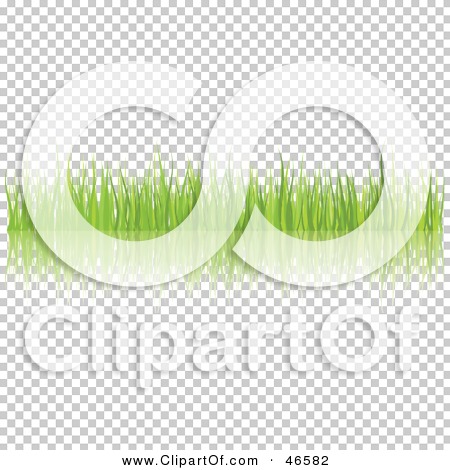 Transparent clip art background preview #COLLC46582