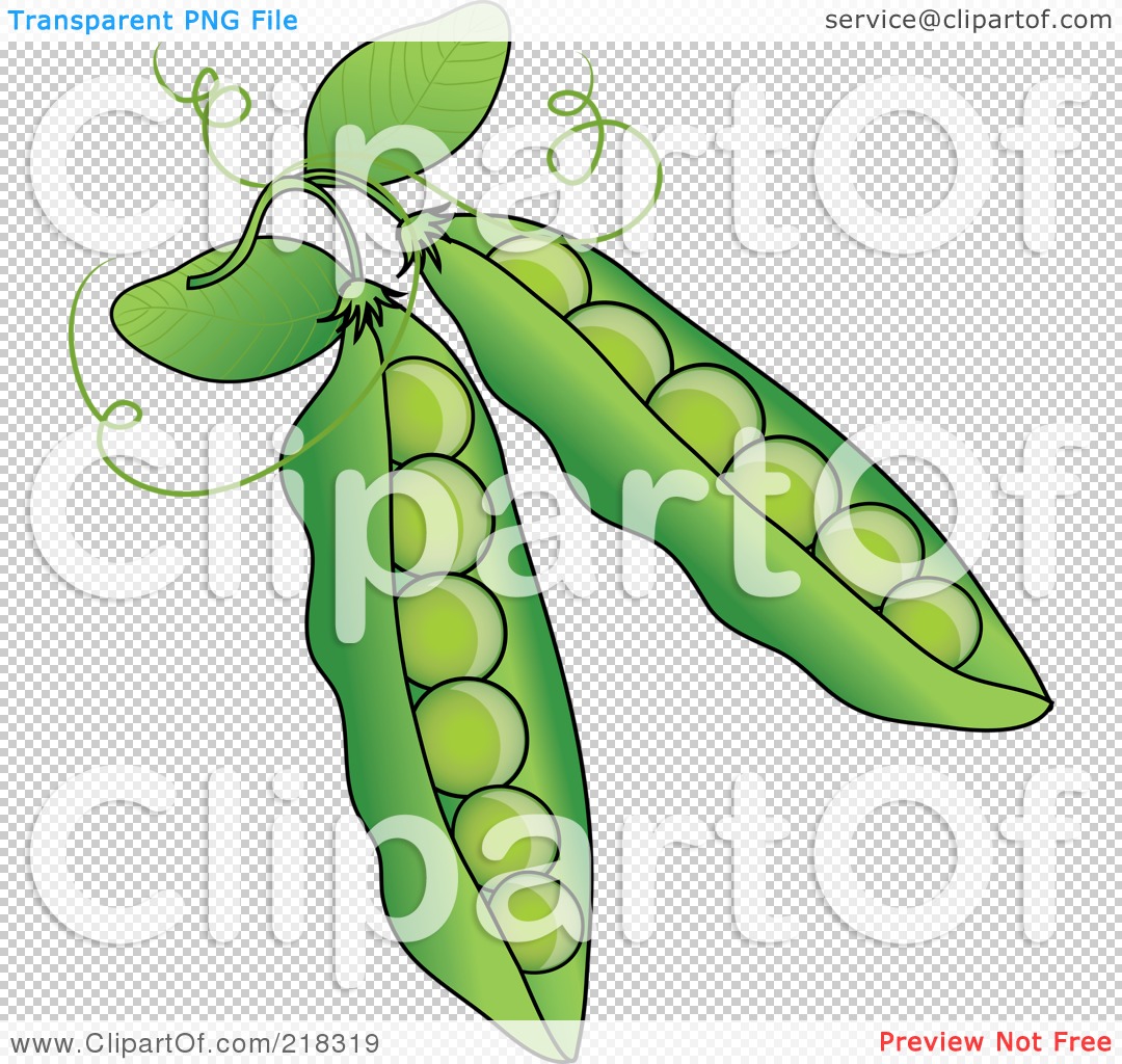 Pea, Zipper, Peas Drawing, Peas PNG Free Download And Clipart Image For  Free Download - Lovepik | 401691913