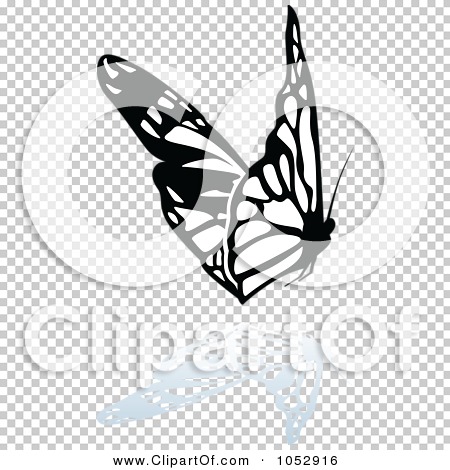 Transparent clip art background preview #COLLC1052916