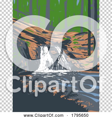 Transparent clip art background preview #COLLC1795650
