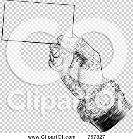 Transparent clip art background preview #COLLC1757827