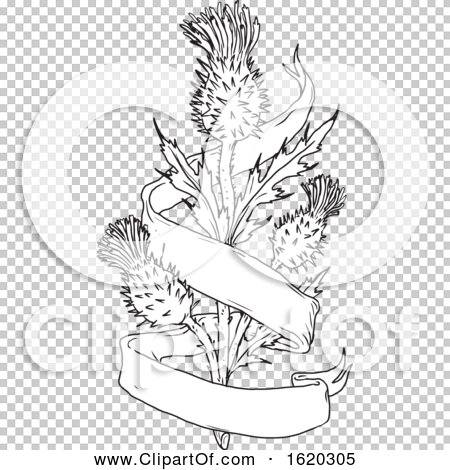 Royalty-Free (RF) Thistle Clipart, Illustrations, Vector Graphics #1