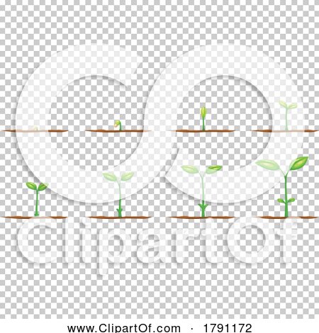 Transparent clip art background preview #COLLC1791172