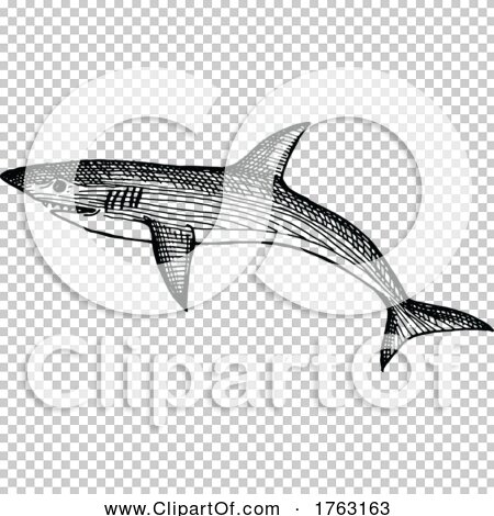 Transparent clip art background preview #COLLC1763163