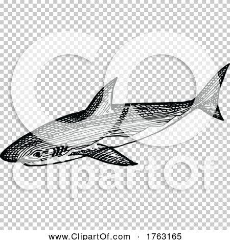 Transparent clip art background preview #COLLC1763165