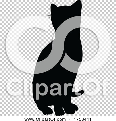 Transparent clip art background preview #COLLC1758441