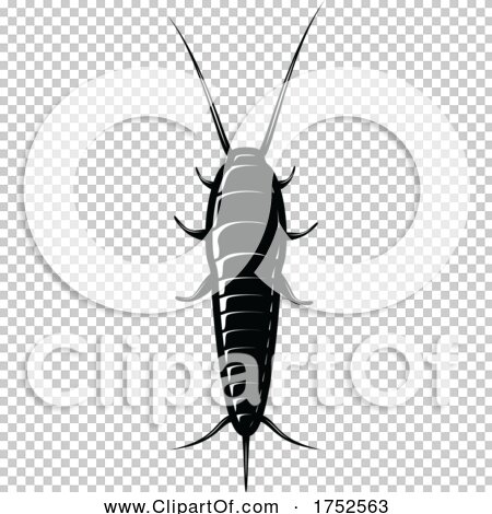 Transparent clip art background preview #COLLC1752563