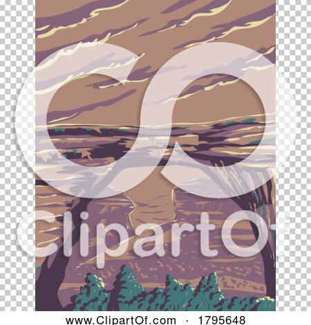 Transparent clip art background preview #COLLC1795648