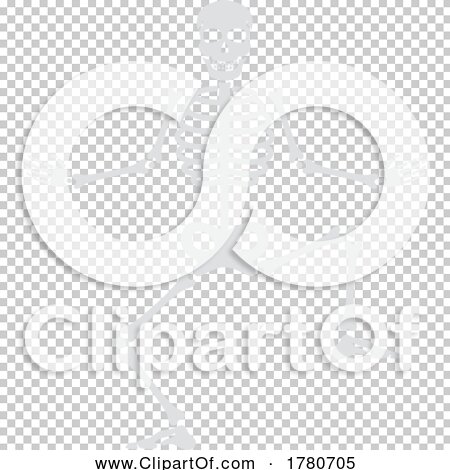 Transparent clip art background preview #COLLC1780705