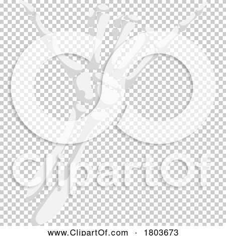 Transparent clip art background preview #COLLC1803673