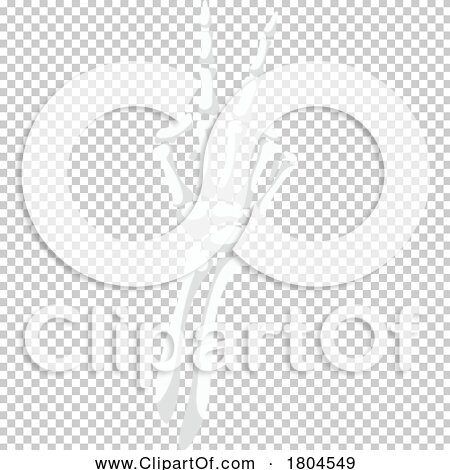 Transparent clip art background preview #COLLC1804549