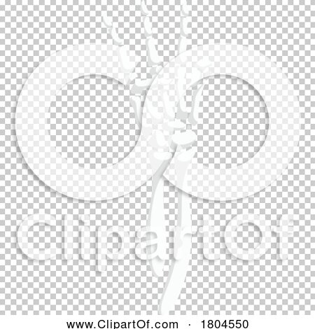 Transparent clip art background preview #COLLC1804550