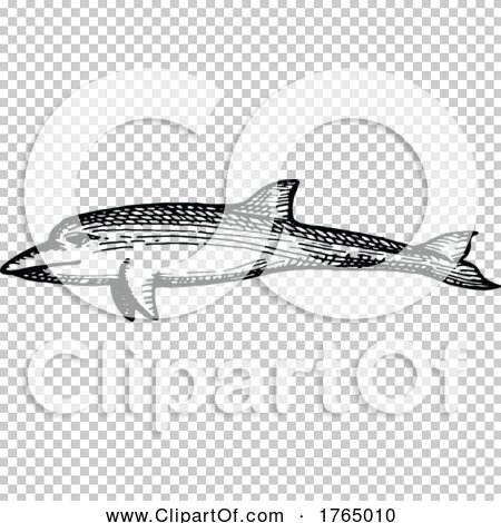 Transparent clip art background preview #COLLC1765010