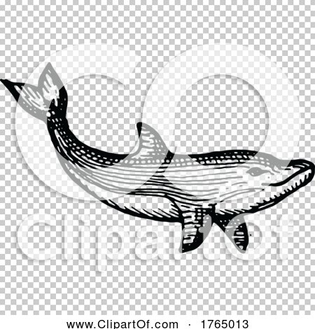 Transparent clip art background preview #COLLC1765013