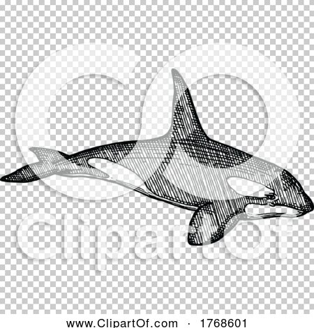 Transparent clip art background preview #COLLC1768601