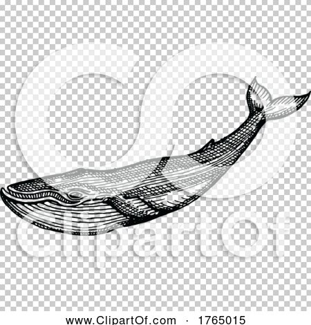 Transparent clip art background preview #COLLC1765015