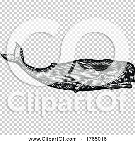 Transparent clip art background preview #COLLC1765016