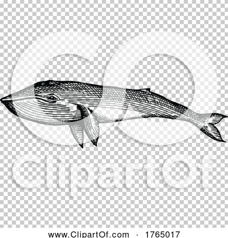 Transparent clip art background preview #COLLC1765017