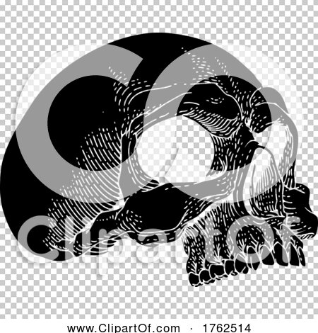 Transparent clip art background preview #COLLC1762514