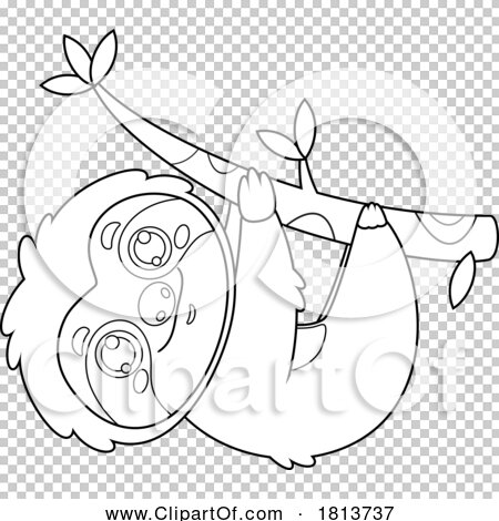 Transparent clip art background preview #COLLC1813737