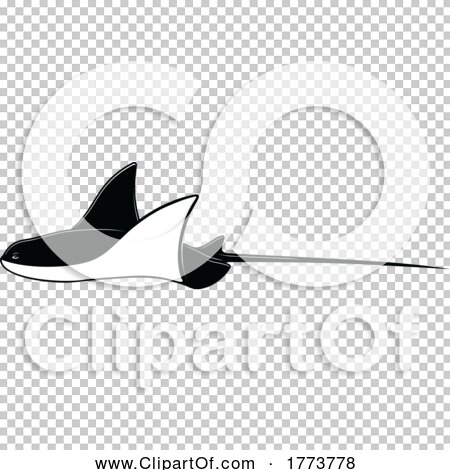 Transparent clip art background preview #COLLC1773778