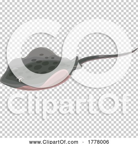 Transparent clip art background preview #COLLC1778006
