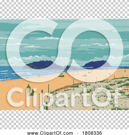 Transparent clip art background preview #COLLC1808336