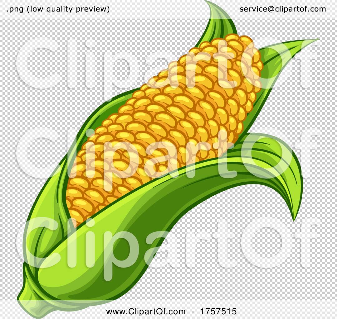 Картинка кукурузы в круге