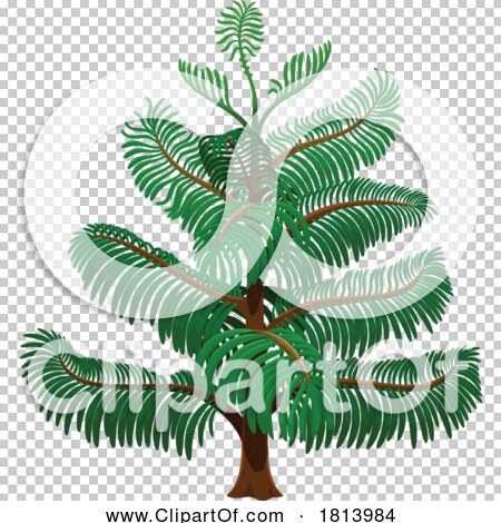 Transparent clip art background preview #COLLC1813984